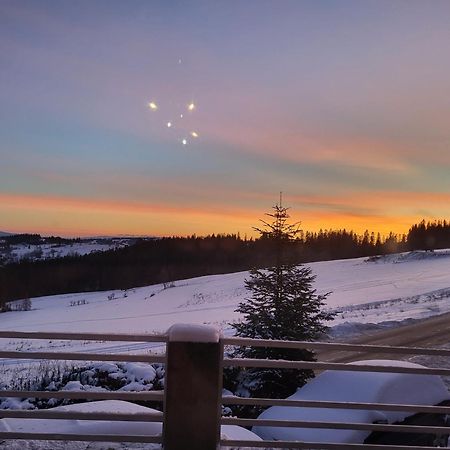 Leśnica Glamping Gliczarow Klapnioki B&B 외부 사진