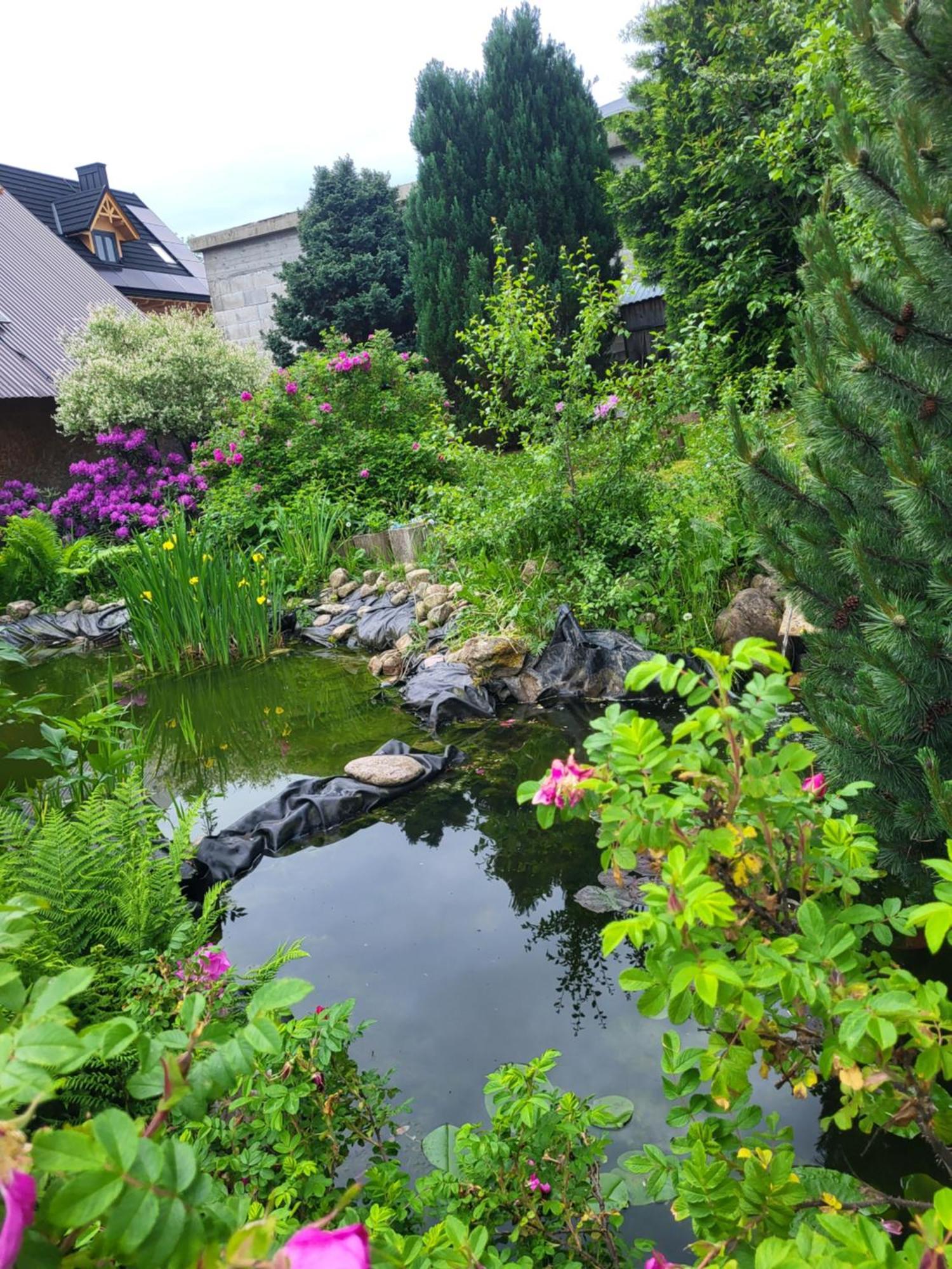 Leśnica Glamping Gliczarow Klapnioki B&B 외부 사진